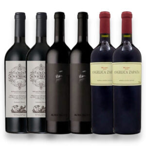 Kit 6 Vinhos Argentino El Enemigo Alma Negra Angélica Zapata
